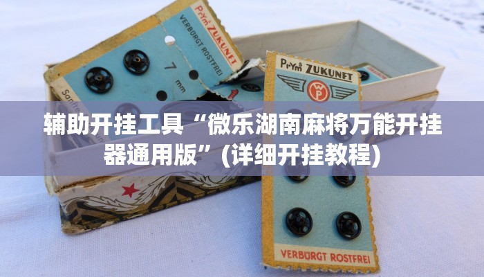 辅助开挂工具“皮皮跑胡子究竟有没有挂”其实确实有挂