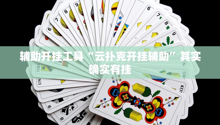 辅助开挂工具“云扑克开挂辅助”其实确实有挂