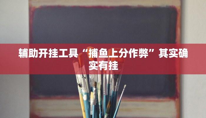 实测辅助”边锋干瞪眼有没有挂”其实确实有挂