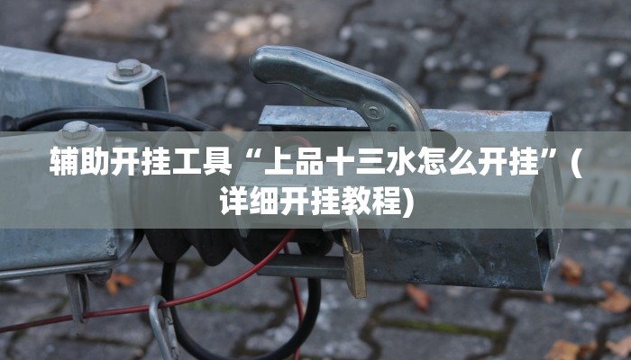辅助开挂工具“上品十三水怎么开挂”(详细开挂教程)