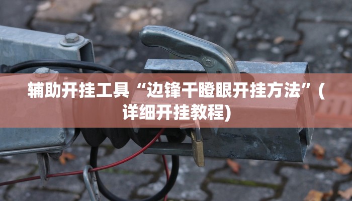 辅助开挂工具“边锋干瞪眼开挂方法”(详细开挂教程)