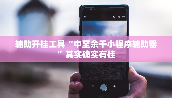 辅助开挂工具“中至余干小程序辅助器”其实确实有挂