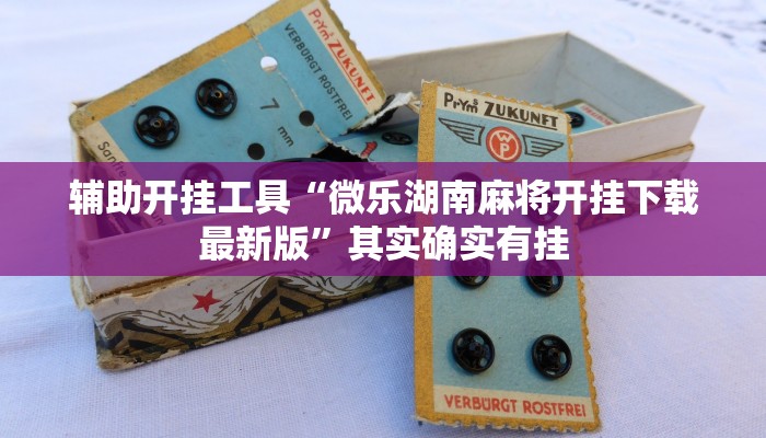 辅助开挂工具“微乐湖南麻将开挂下载最新版”其实确实有挂
