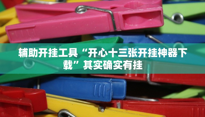 辅助开挂工具“开心十三张开挂神器下载”其实确实有挂