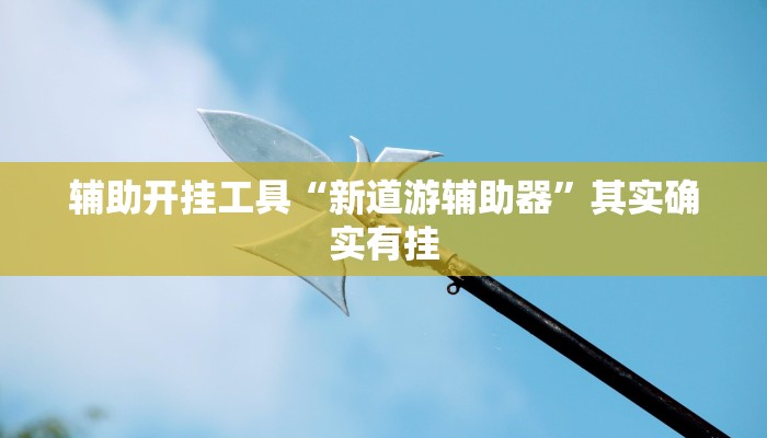 辅助开挂工具“新道游辅助器”其实确实有挂