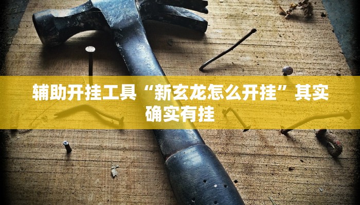 辅助开挂工具“新玄龙怎么开挂”其实确实有挂