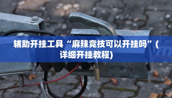 辅助开挂工具“麻辣竞技可以开挂吗”(详细开挂教程)