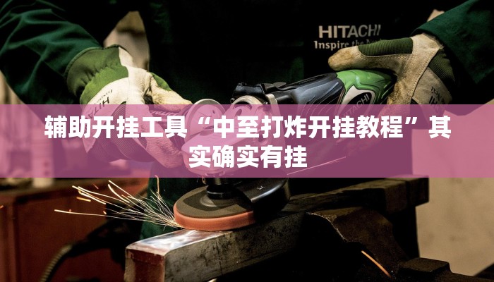 辅助开挂工具“中至打炸开挂教程”其实确实有挂