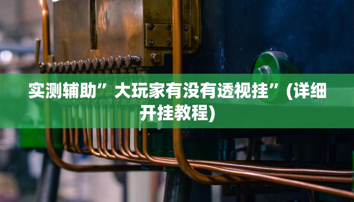 实测辅助”大玩家有没有透视挂”(详细开挂教程)