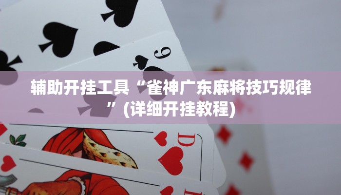 辅助开挂工具“雀神广东麻将技巧规律”(详细开挂教程)