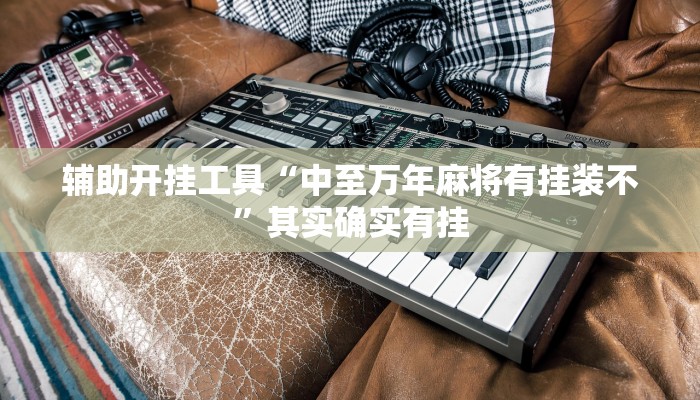 辅助开挂工具“中至万年麻将有挂装不”其实确实有挂