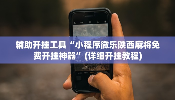 辅助开挂工具“小程序微乐陕西麻将免费开挂神器”(详细开挂教程)