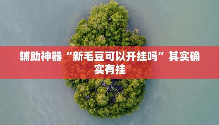 实测辅助”龙鼎拼十辅助开挂”其实确实有挂