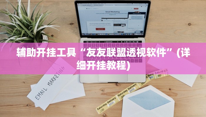 辅助开挂工具“友友联盟透视软件”(详细开挂教程)