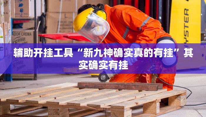 辅助开挂工具“新九神确实真的有挂”其实确实有挂