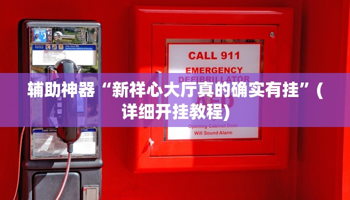 辅助神器“新祥心大厅真的确实有挂”(详细开挂教程)