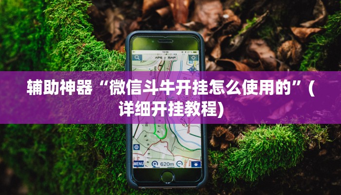 辅助神器“微信斗牛开挂怎么使用的”(详细开挂教程)