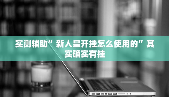 实测辅助”新人皇开挂怎么使用的”其实确实有挂