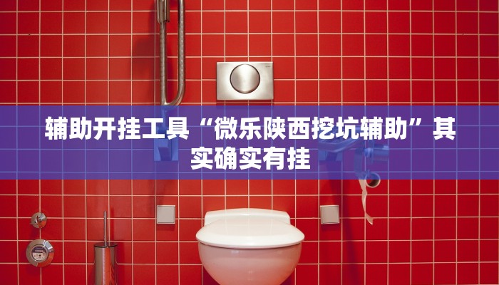 辅助开挂工具“微乐陕西挖坑辅助”其实确实有挂