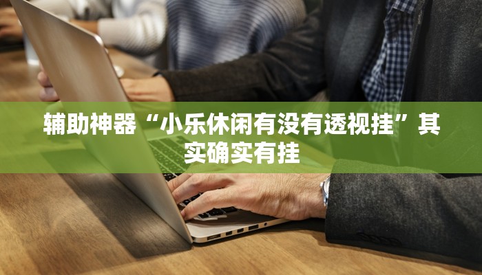 辅助神器“小乐休闲有没有透视挂”其实确实有挂