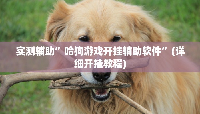 实测辅助”哈狗游戏开挂辅助软件”(详细开挂教程)
