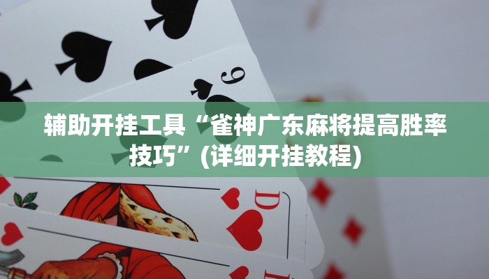 辅助开挂工具“雀神广东麻将提高胜率技巧”(详细开挂教程)