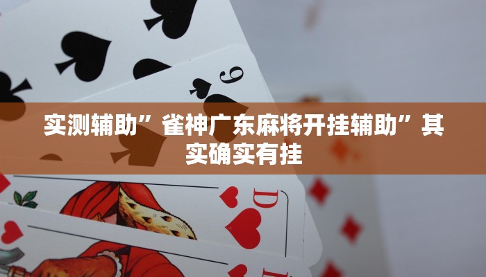 实测辅助”雀神广东麻将开挂辅助”其实确实有挂