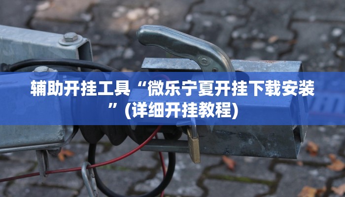 辅助开挂工具“微乐宁夏开挂下载安装”(详细开挂教程)