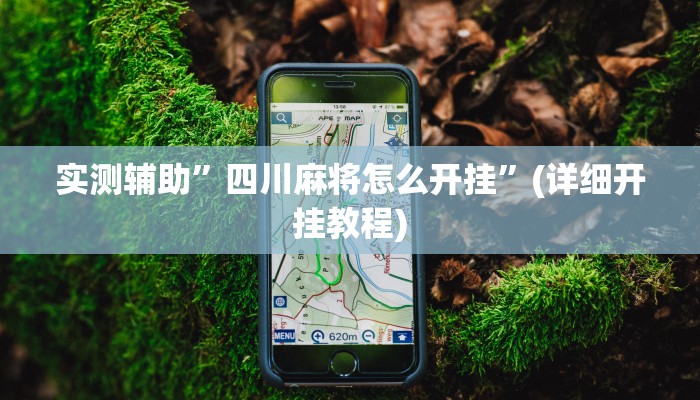 实测辅助”四川麻将怎么开挂”(详细开挂教程)