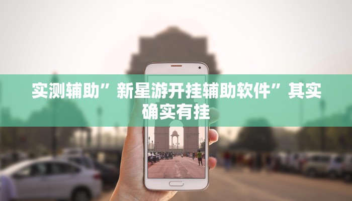 实测辅助”德扑之星透视挂”(详细开挂教程)
