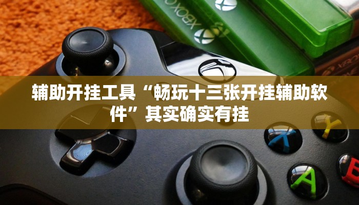 辅助开挂工具“畅玩十三张开挂辅助软件”其实确实有挂