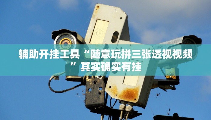 辅助开挂工具“随意玩拼三张透视视频”其实确实有挂