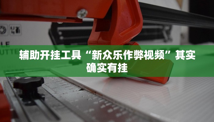 辅助开挂工具“新众乐作弊视频”其实确实有挂