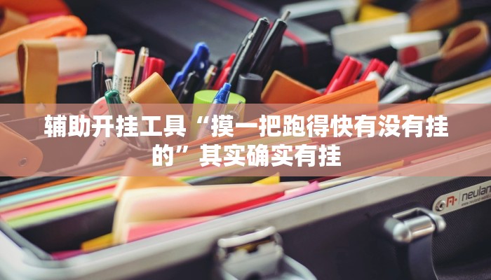 辅助开挂工具“摸一把跑得快有没有挂的”其实确实有挂