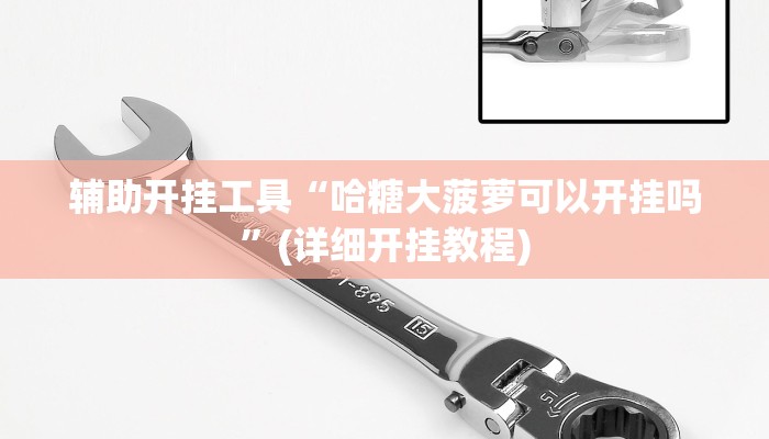 辅助开挂工具“哈糖大菠萝可以开挂吗”(详细开挂教程)