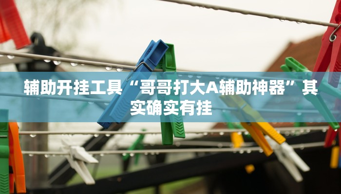 辅助开挂工具“哥哥打大A辅助神器”其实确实有挂