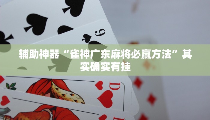 辅助神器“雀神广东麻将必赢方法”其实确实有挂
