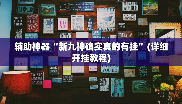 辅助神器“新九神确实真的有挂”(详细开挂教程)