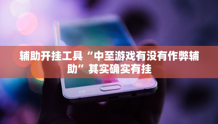 辅助开挂工具“中至游戏有没有作弊辅助”其实确实有挂