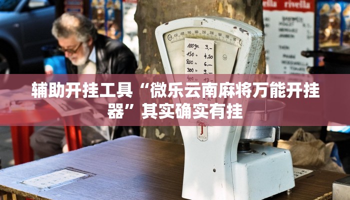 辅助开挂工具“微乐云南麻将万能开挂器”其实确实有挂