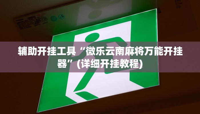 辅助开挂工具“微乐云南麻将万能开挂器”(详细开挂教程)