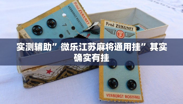 实测辅助”微乐江苏麻将通用挂”其实确实有挂
