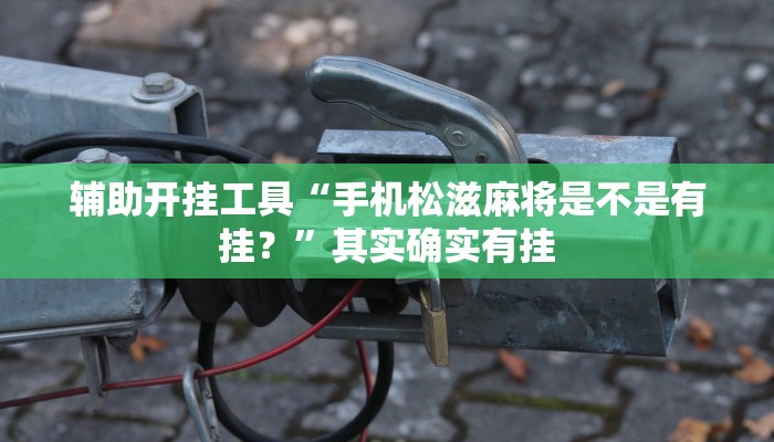 辅助开挂工具“手机松滋麻将是不是有挂？”其实确实有挂