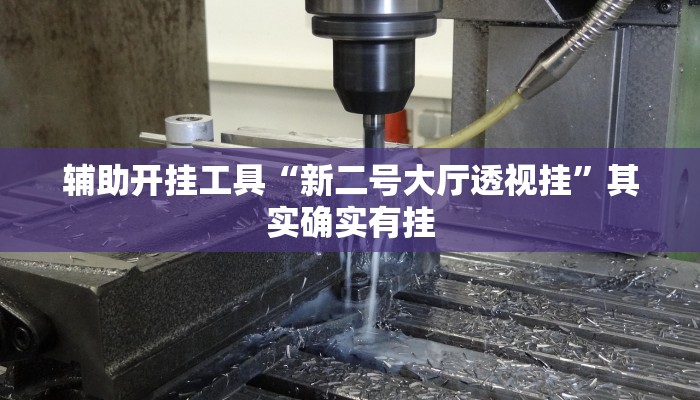 辅助开挂工具“新二号大厅透视挂”其实确实有挂