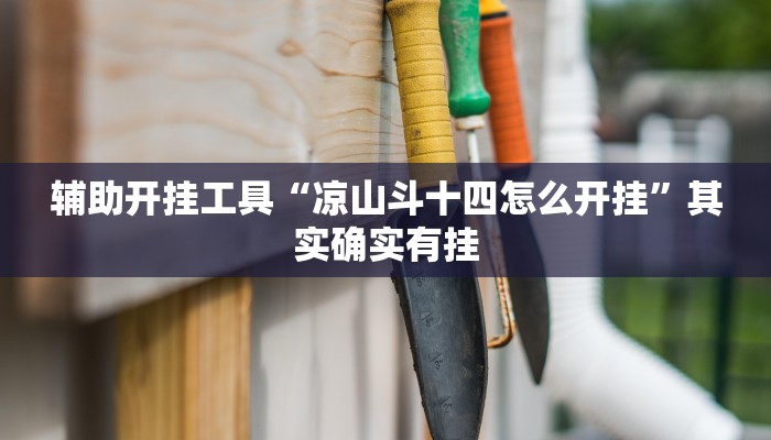 辅助开挂工具“凉山斗十四怎么开挂”其实确实有挂