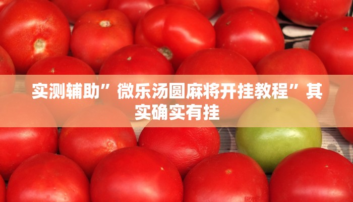实测辅助”微乐汤圆麻将开挂教程”其实确实有挂