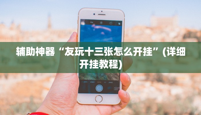 辅助神器“友玩十三张怎么开挂”(详细开挂教程)